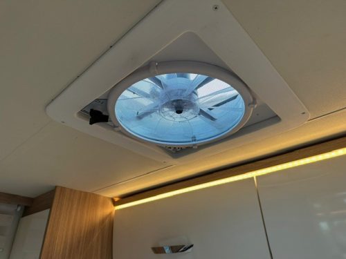B&uuml;rstner Delfin T 732 G photo: 17