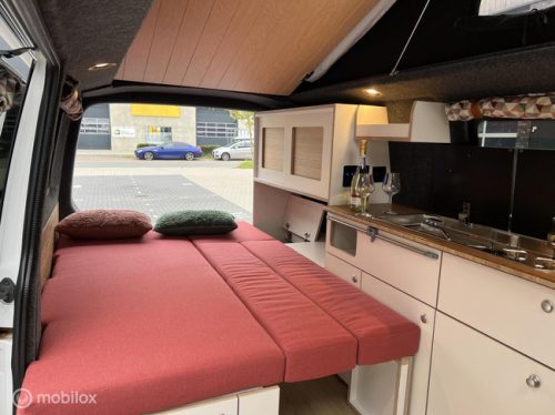 Volkswagen T6 2019 L2H1 Nevada Two-tone! photo: 14