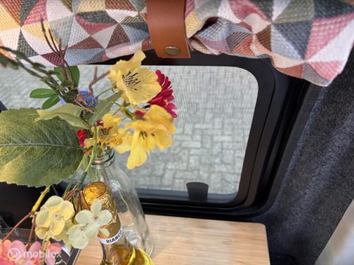 Volkswagen T6 2017 Kastenwagen Nevada Two-tone! Foto: 22