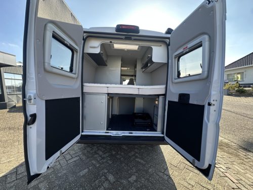 Weinsberg CaraBus 600 MQ 360 park|5 seatbelts|lion photo: 11