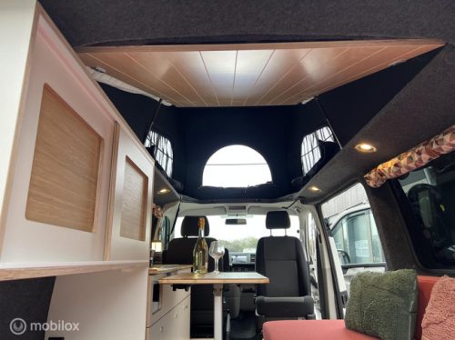 Volkswagen T6 2019 L2H1 Nevada Two-tone! photo: 19