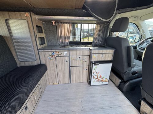 Volkswagen California 2 TDI  photo: 10