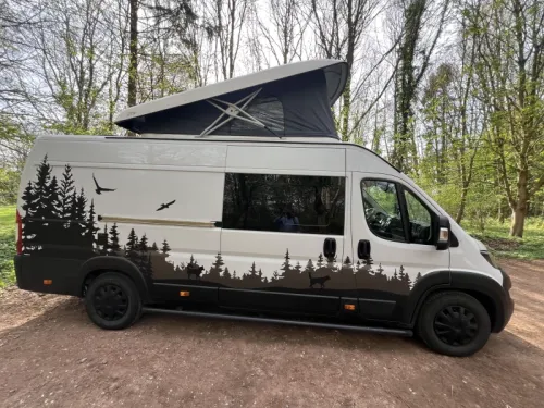 Peugeot Boxer 600 | 2022 | Unique photo: 23