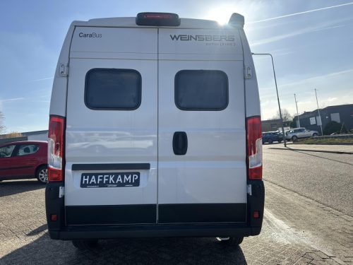 Weinsberg CaraBus 600 MQ 360 park|5 seatbelts|lion photo: 3
