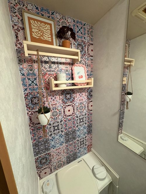 STERCKEMAN 486CE Starlett foto: 12