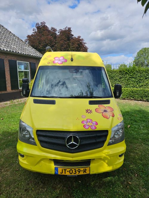 Mercedes Sprinter 319 bluetec photo: 1