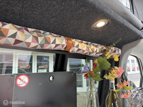Volkswagen T6 2017 Kastenwagen Nevada Two-tone! Foto: 23