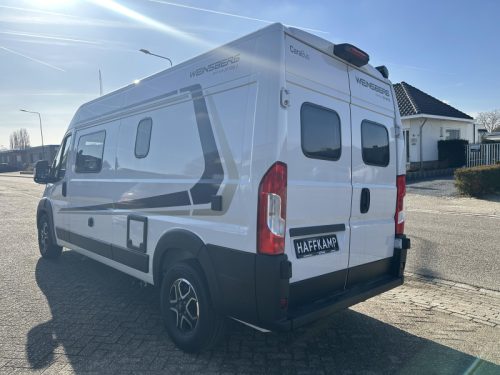 Weinsberg CaraBus 600 MQ 360 park|5 seatbelts|lion photo: 1