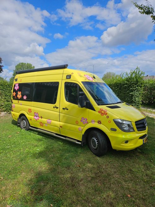 Mercedes Sprinter 319 bluetec photo: 0