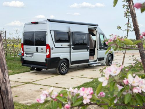 Malibu 600 LE Automatic Diesel/Elec. Heating/Solar/Towbar/Gas alarm/160HP/Longitudinal beds/10&rdquo; Navi/Full options! 2023 photo: 3