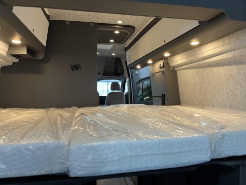Dethleffs Globetrail VW Performance 600 DR Foto: 13