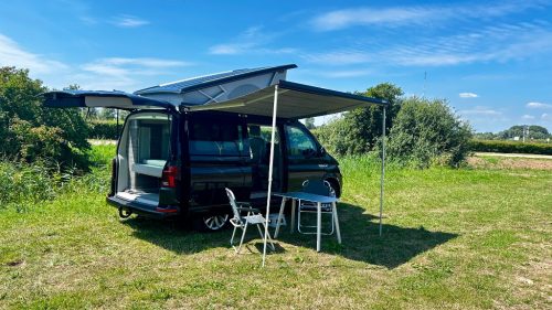 VOLKSWAGEN CALIFORNIA photo : 13