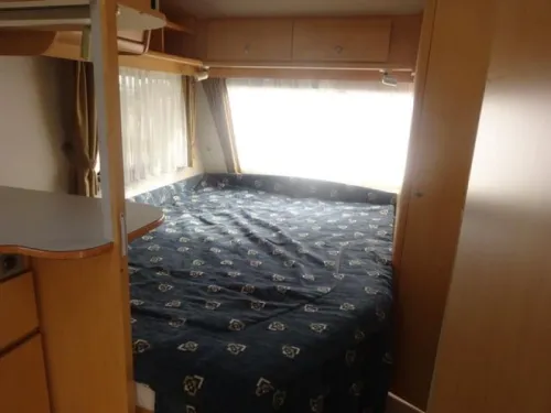 Avento Excellence 445 TF  foto: 12