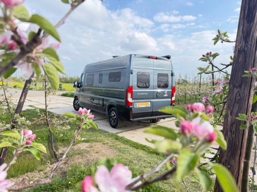 P&ouml;ssl 2 Win R Plus 9G Automatic/LPG/Solar/Towbar/Bearlock Full Options! photo: 2