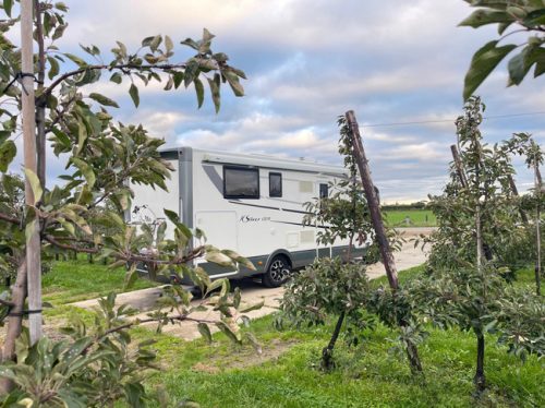Mobilvetta K-SILVER I-59 Euro 6 Queensbed + Pop-top roof, Air conditioning, TV, Bike rack photo: 5