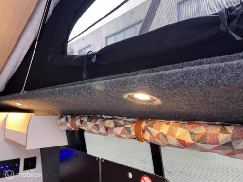 Volkswagen T6 2019 L2H1 Nevada Two-tone! photo: 8