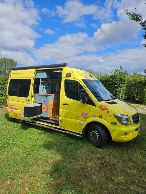 Mercedes Sprinter 319 bluetec photo: 5