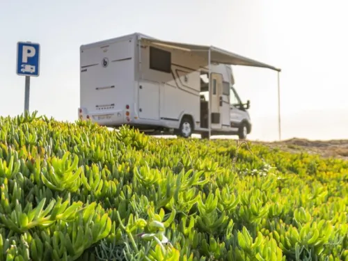 Benimar Tessoro 463 UP base model 2026 photo: 16