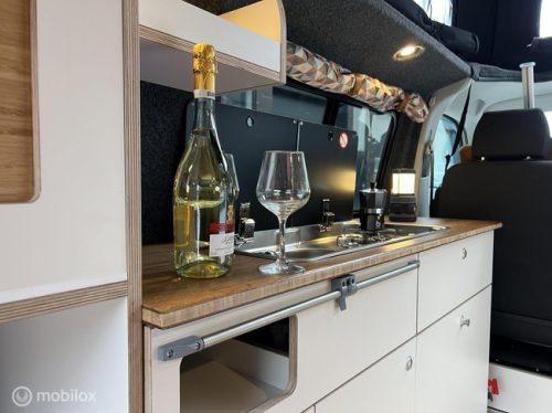 Volkswagen T6 2019 L2H1 Nevada Two-tone! photo: 15
