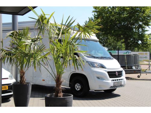 Weinsberg CaraLoft Queen bed + Drop-down bed photo: 4