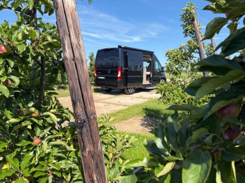 P&ouml;ssl Roadcamp R 540 8-Speed Automatic/Bearlock/NAVI/Towbar/Elec/gas heater photo: 5