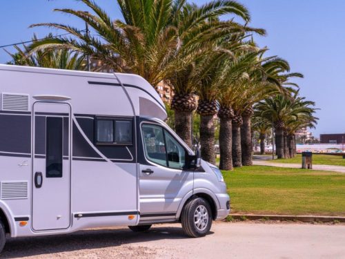Benimar Tessoro 463 base model 2026  photo: 21