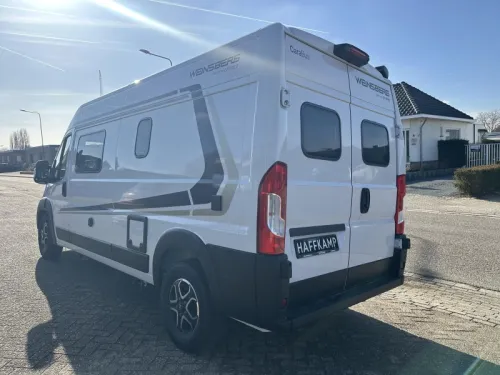 Weinsberg CaraBus 600 MQ 360 park|5 cinturones|le&oacute;n foto: 1