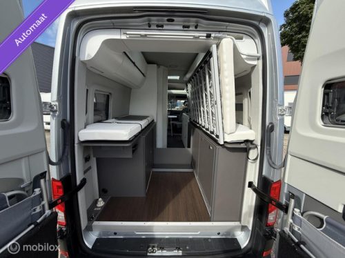 Volkswagen Grand California 680 / DSG! Foto: 11