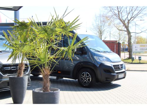 P&ouml;ssl Roadcruiser 640 Single beds - Automatic photo: 4