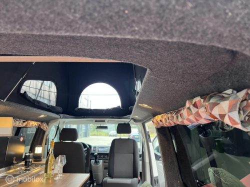 Volkswagen T6 2019 L2H1 Nevada Two-tone! photo: 17