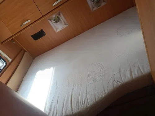 Chausson Flash 26 Foto: 15