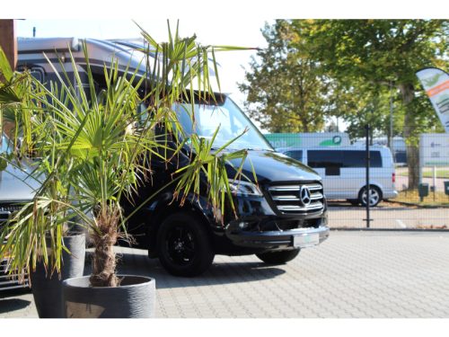 Hymer BML-T 780 B780ML photo: 4