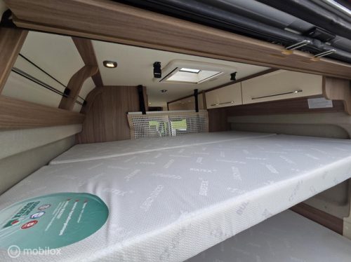 Dreamer D53 photo: 20