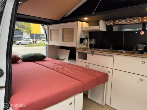 Volkswagen T6 2019 L2H1 Nevada Two-tone! photo: 3